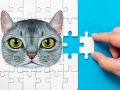 Játék Abysszin Puzzles Verseny online