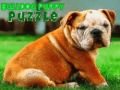 Játék Bulldog kölyök puzzle online