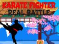 Játék Karate Harcos: Valódi Csata online