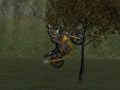 Játék Mountain bike-ozó online