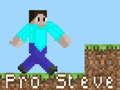Játék Pro Steve online