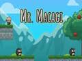 Játék Mr. Macagi online
