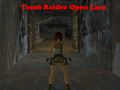 Játék Tomb Raider: Nyitott Lara online