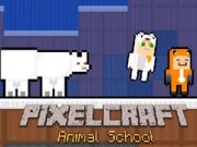 Játék PixelCraft Állatiskola online