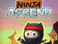 Játék Ninja Felszállás online