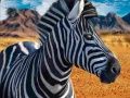 Játék Zebra vadász online