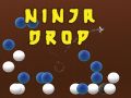 Játék Ninja Esés online