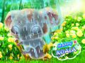 Játék Boldog Koala online