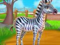 Játék Zebra gondozás online