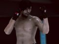 Játék MFS: MMA Harcos online