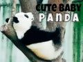Játék Aranyos kis panda online