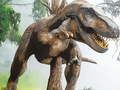 Játék Tyrannosaurus Rex Húsevő Puzzle online
