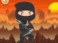 Játék Képzett Ninja Puzli online