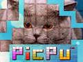 Játék PicPu Macska online