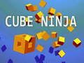Játék Kocka Ninja online