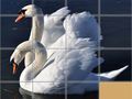 Játék Állatok Csúsztatós Puzzle online Játék Állatok Csúsztatós Puzzle online