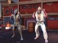 Játék Harcosok Világa: Vaskézűek online