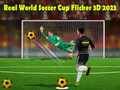 Játék Valódi Világbajnokság Foci Flicker 3D 2023 online Játék Valódi Világbajnokság Foci Flicker 3D 2023 online