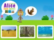 Játék Alice állati élőhelyének világa online