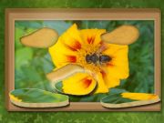Játék Keresse meg és visszaállítja: Rejtett puzzle online