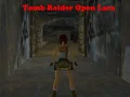 Játék Tomb Raider: Nyitott Lara online