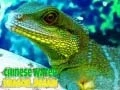 Játék Kínai vízi sárkány puzzle online