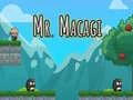 Játék Mr. Macagi online