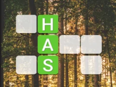 Játék Word Connect online