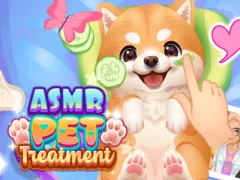 Játék ASMR PET kezelés online