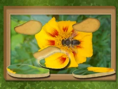 Játék Keresse meg és visszaállítja: Rejtett puzzle online