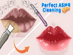 Játék Tökéletes ASMR tisztítás online