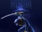 Játék Ninja Futás online