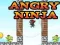 Játék Dühös Ninja online