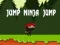 Játék Ugrik Ninja Ugrik online