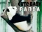 Játék Aranyos kis panda online