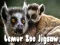 Játék Lemúr Állatkert Puzzle online