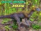 Játék A legkisebb dinoszaurusz puzzle online