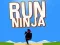 Játék Futás Ninja online