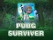 Játék PUBG Túlélő online