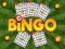 Játék Bingo Felfedezve online