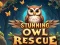 Játék Lenyűgöző baglyok mentése online