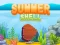 Játék Summer Shell online Játék Summer Shell online