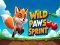 Játék Wild Paws Sprint online