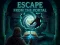 Játék Escape from the Portal online
