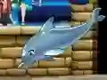 Játék A delfinek showm 6 online