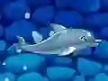 Játék Az én delfinműsorom 5 online