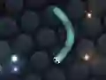 Játék Slither.io online