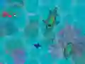 Játék Sharkz.io online Játék Sharkz.io online