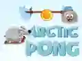 Játék Sarkvidéki Pong online Játék Sarkvidéki Pong online