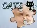 Játék Kirakós: Macskák online